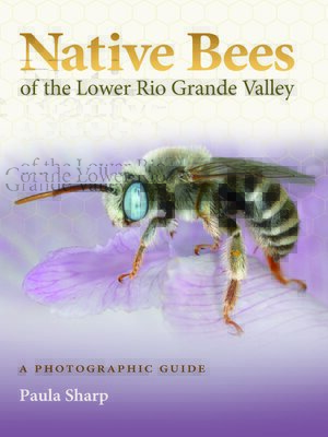 cover image of Native Bees of the Lower Rio Grande Valley